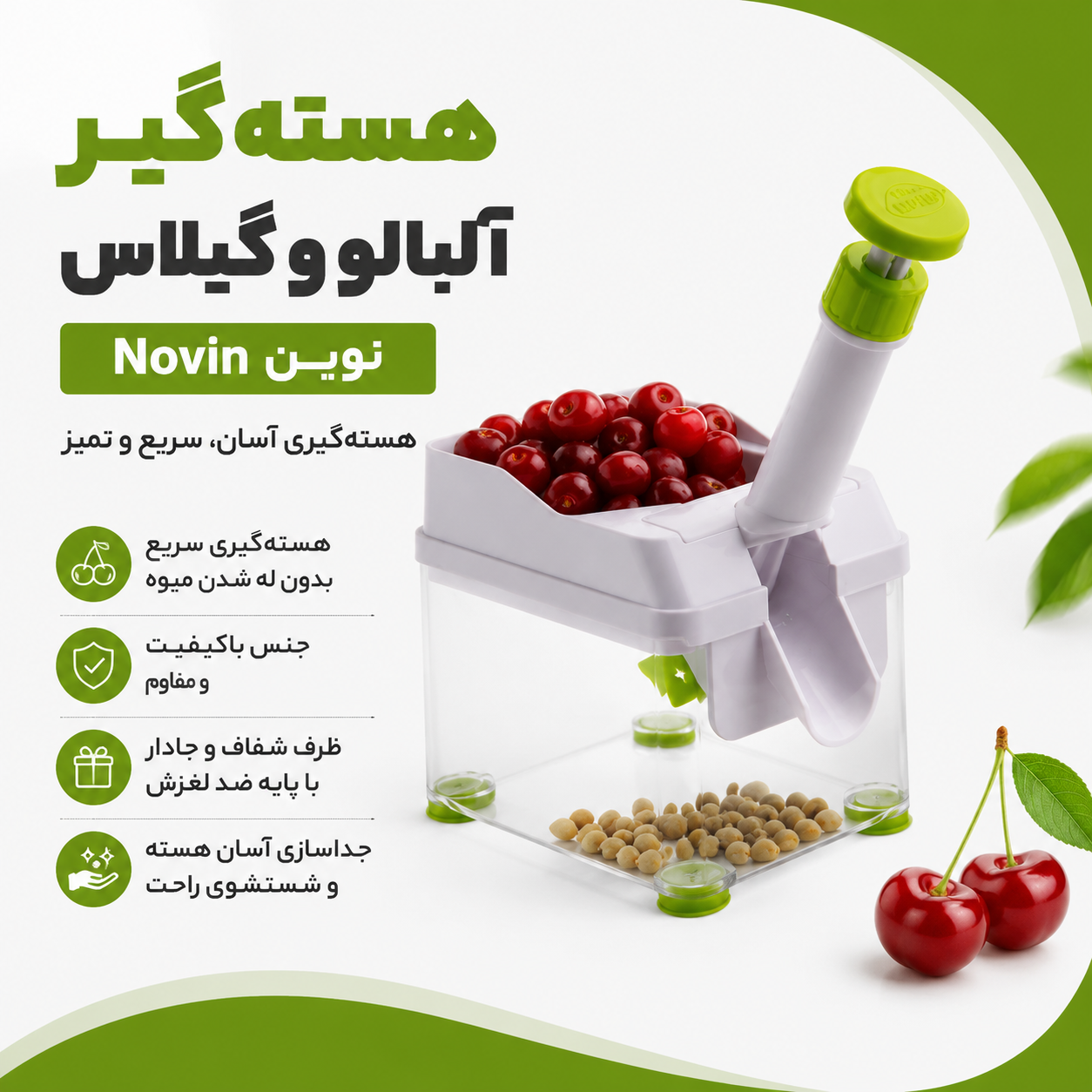 هسته گیر آلبالو گیلاس نوین